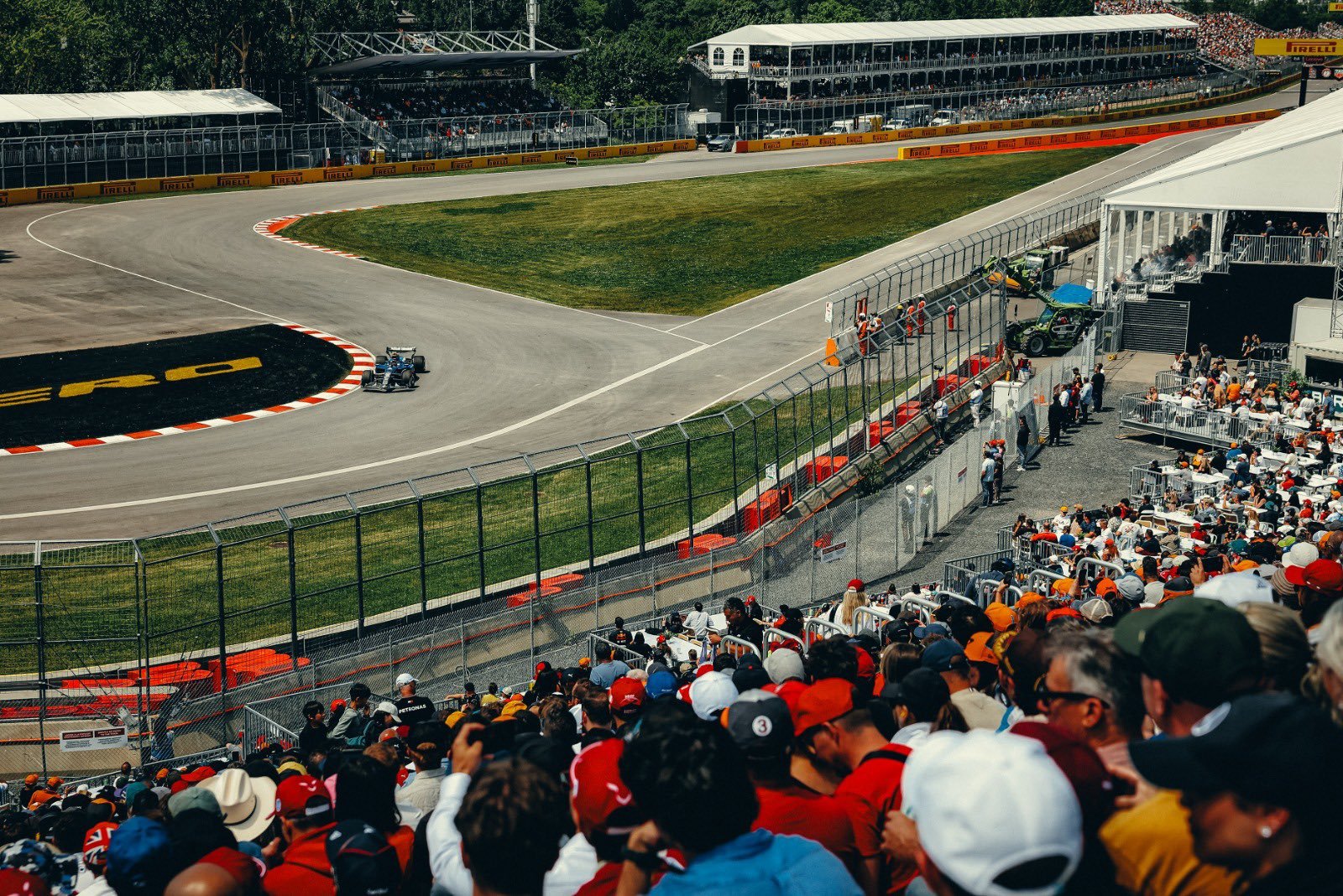 Carlos Sainz