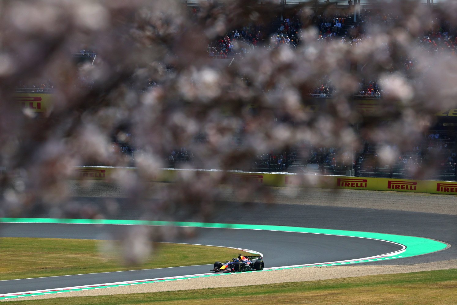 Verstappen Red Bull Suzuka F1 2026