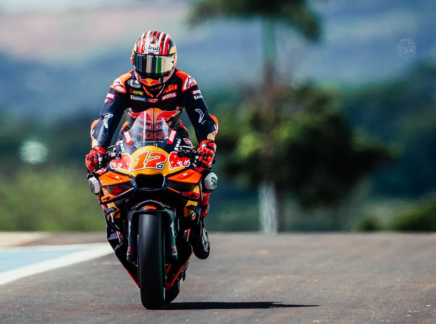 Viñales lesión hombro MotoGP